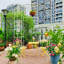 Pavillon de jardin en métal en forme de cage de pergola en forme de cage à oiseaux 81,7 po x 114,2 po-1478763806