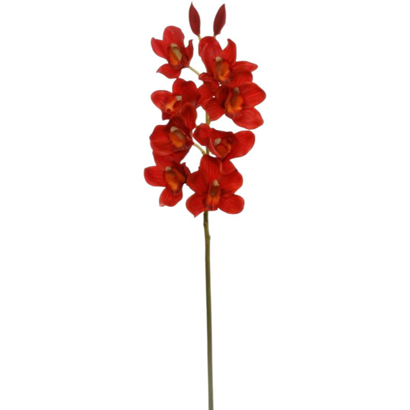 30" Cymbidium Orchid Stem - 3 Pack