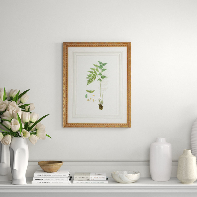 Curtis Ferns I Print