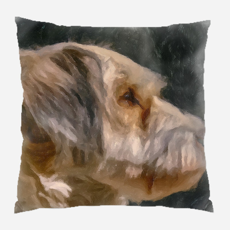 Housse et insert de coussin carré Dyer Avenue, Microsuède, Intérieur