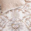 Oriental Area Rug-372243812
