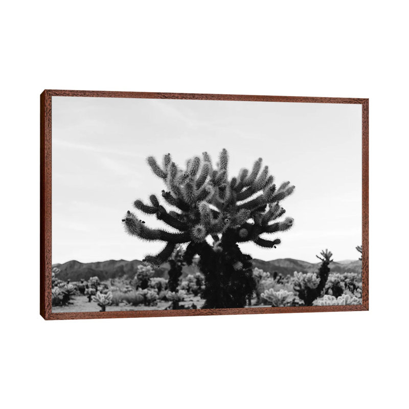 Cholla Cactus Garden XI by Bethany Young - Print on Canvas, 45.72cm H x 66.04cm W x 3.81cm D, Classic Brown Wood Framed
