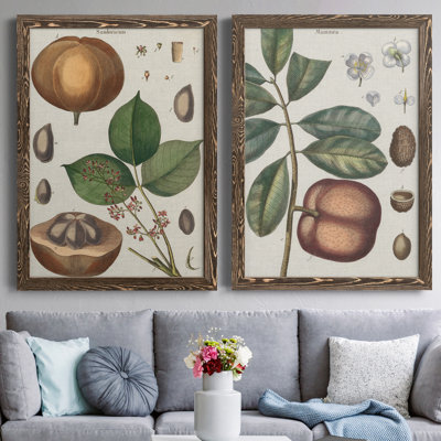 Exotic Botanique II, reproduction encadrée de qualité supérieure - prête à être accrochée