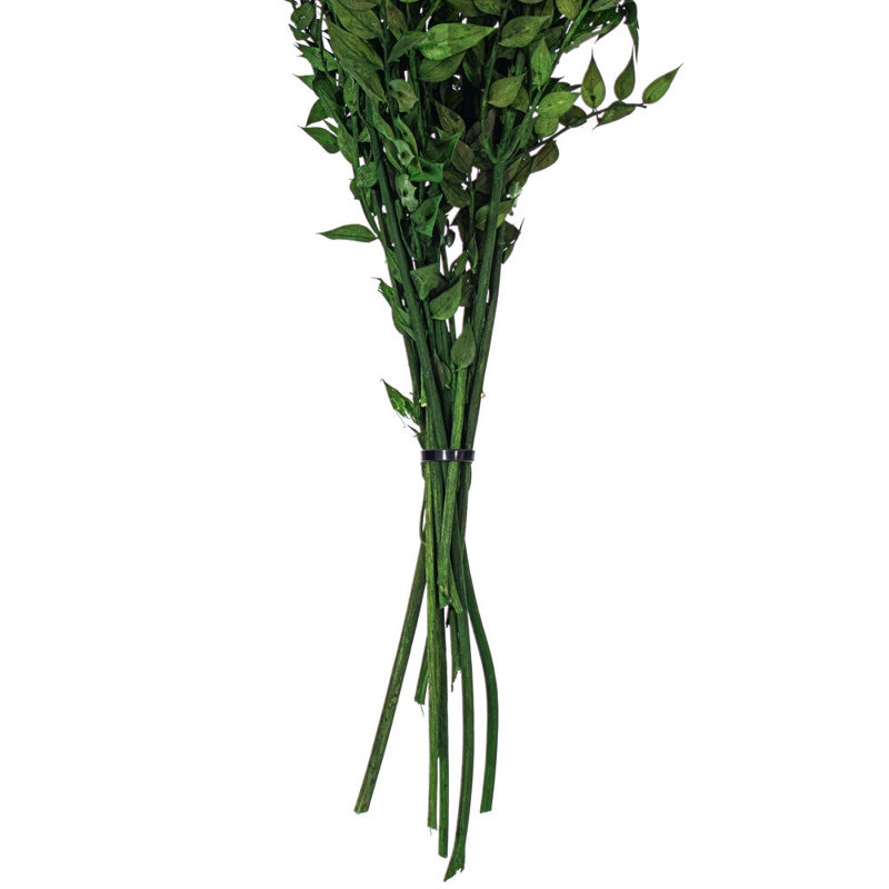 Faux Ruscus Plant