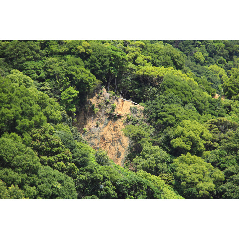 Mudslides by Gyro - Wrapped Canvas Print, 30cm H x 46cm W