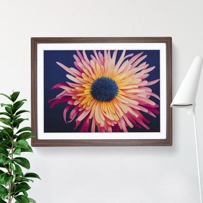 Unusual Chrysanthemum Flower - Framed Print