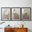 ANIMALS Series CCLV  -Custom Framed  Premium Print W Matt - 3 Pieces-1285023872-1285023878