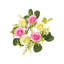 Arrangement de panier suspendu en sapin-97799850