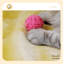 Couvertures pour chiens