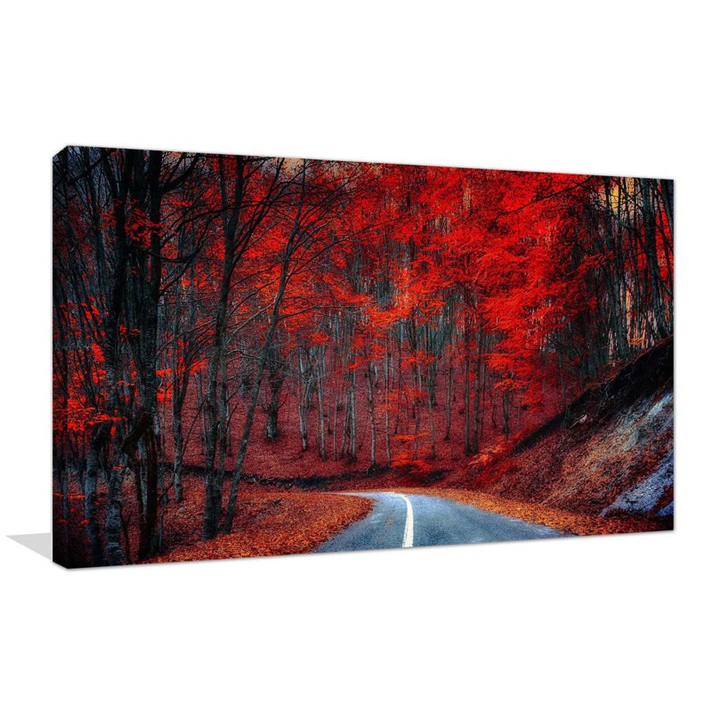 « red forest road », reproduction de photo sur toile tendue, H 28 po x l 48 po x P 1,5 po