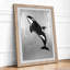 Leaping Orca Coastal - Framed Print-286938672-286938687