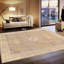 Oriental Area Rug
