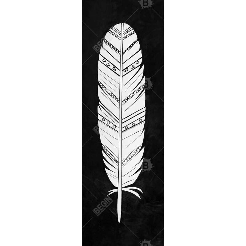 " Native American Feather "
