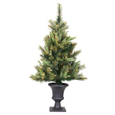 Cashmere Pine 3.5' Pre-Lit Green Potted Mixed Cashmere Pine Medium Artificial Christmas Tree -  The Holiday AisleÂ®, HLDY2162 32357800