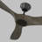 Obsidian Ceiling Fan-1694036870-1653821652
