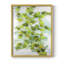 Ivy, reproduction encadrée - bois massif-802993226-802993229