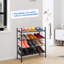 2 Pair Shoe Rack