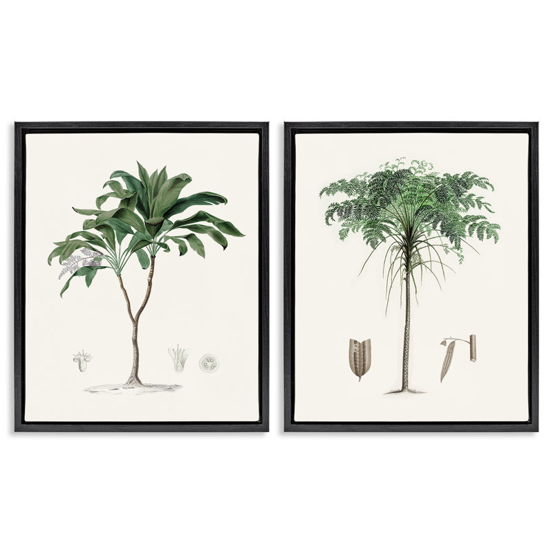 Ensemble de 2 cadres flottants Two Types of Palms, design par Val Rhodes, H 31 po x l 25 po, Cadre flottant noir de jais