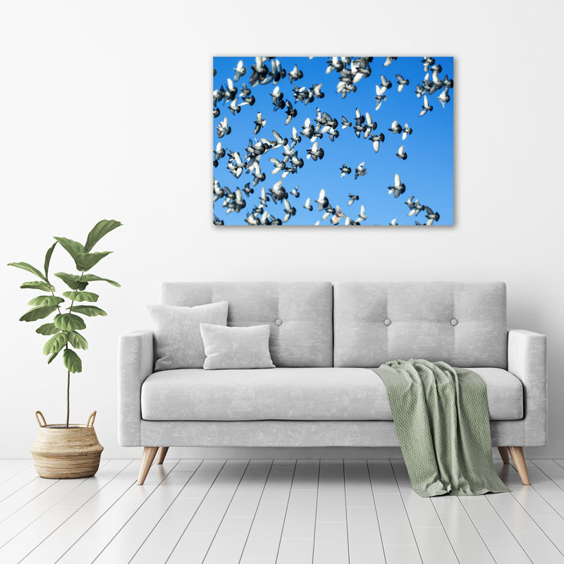 A Flock Of Pigeons - No Frame Print on Glass