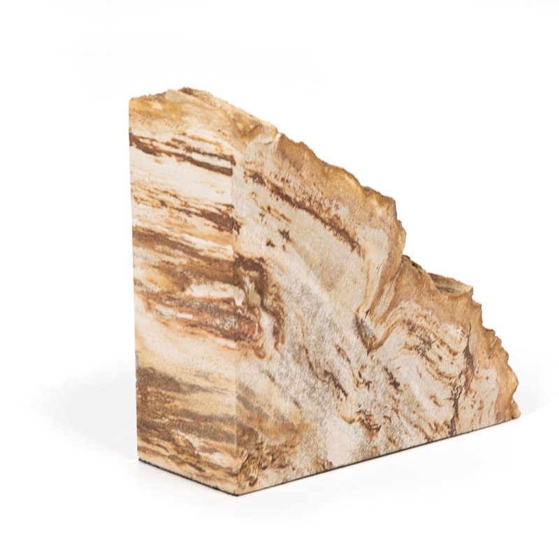 Petrified 2 Piece Wood Book End Set
