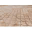 Luneta Cowhide Area Rug in Brown