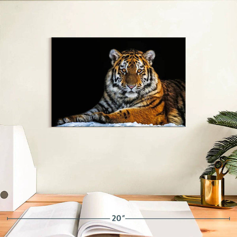 Tigre instantané, H 8 po x l 12 po
