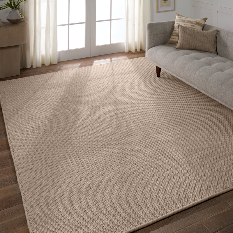 Quinton Handmade Indoor/Outdoor Solid Beige, Rectangle 4' x 6'