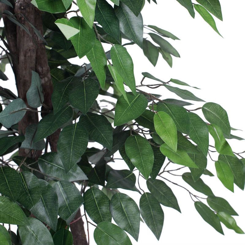Arbre de luxe en pot