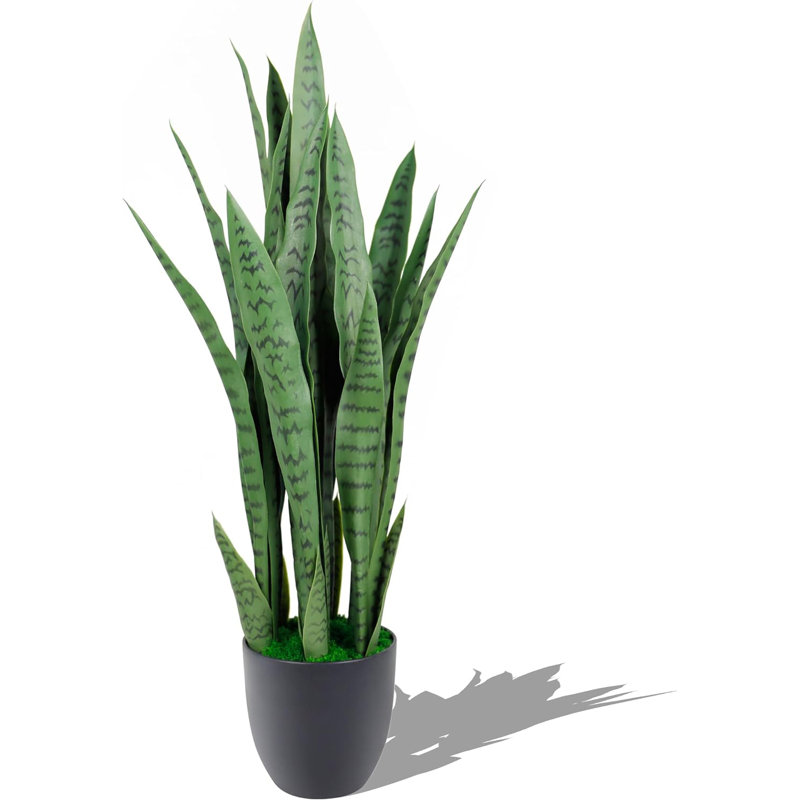 35'' Faux Fir Plant