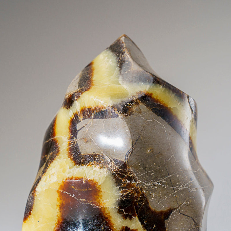 Septarian Crystal