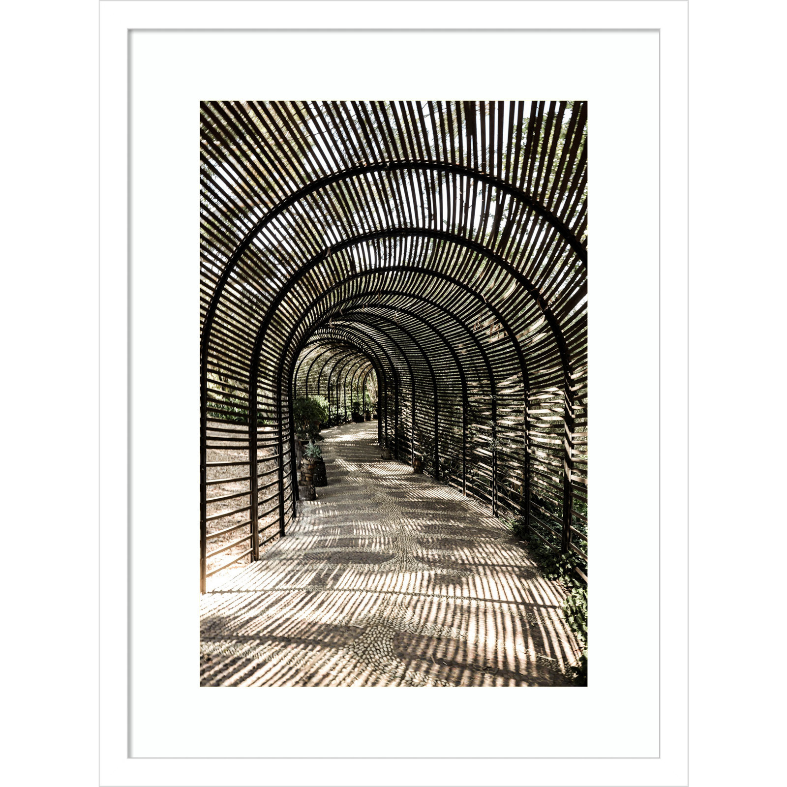Shadow Garden by Shot by Clint Wood Framed Wall Art Print, 21" H x 16" W, White 