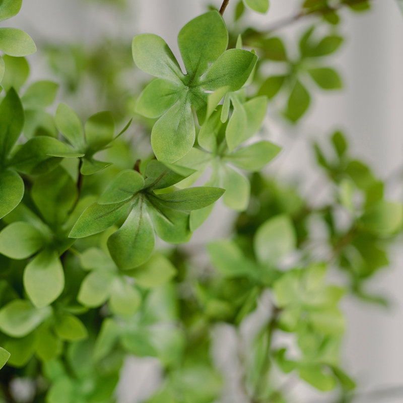 1 branche verte Audet Enkianthus Perulatus artificielle, H 50,7 po x l 0,8 po x P 0,8 po