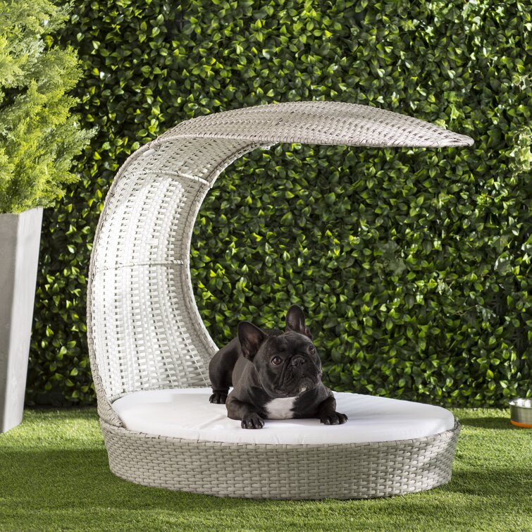 Luxury Outdoor Canine Furniture : dog lounge