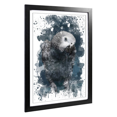 African Grey Parrot - Wall Art