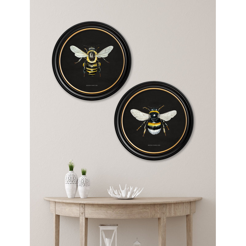 Honey Bee by Mid-1800s - Single Picture Frame Print on Archival Matt 230gsm Paper, Black