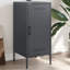 Ambreal Steel Accent Cabinet-905993519