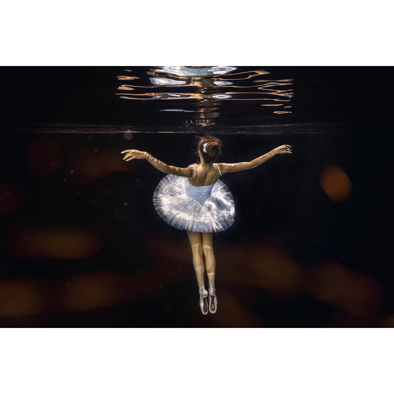 Wrapped Canvas Print, 50.8 cm H x 76.2 cm W