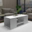 Frame Coffee Table with Storage-88711922