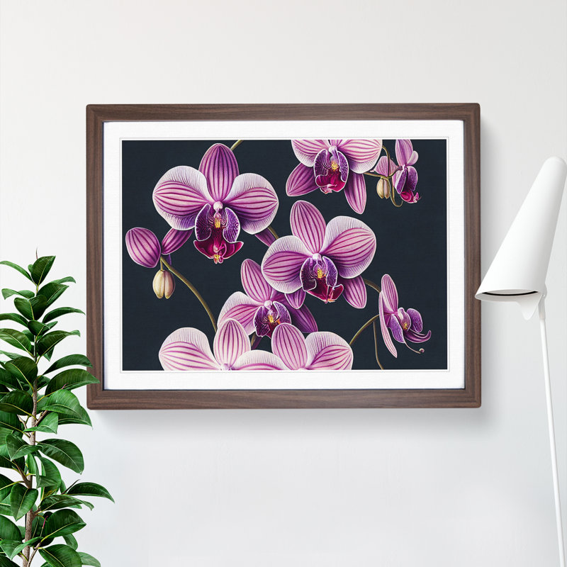 Sparkling Orchid Flowers - Framed Print, 46cm H x 64cm W x 2cm D, Walnut