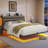 Queen Bed Frame with  LED Lights and Charging Station-718768644