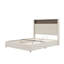 Structure de lit tapissier en velours pour grand lit, USB et veilleuse intégrée, lit plateforme à oreilles avec compartiment de rangement pour tête de lit-277207328-277207333