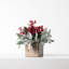 Arrangement floral de roses en pot