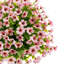 2 pièces de fleurs artificielles pour l'extérieur avec épi de sol et résistant aux rayons UV-1633724515