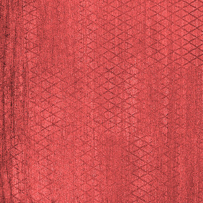 Oriental Indoor Rug