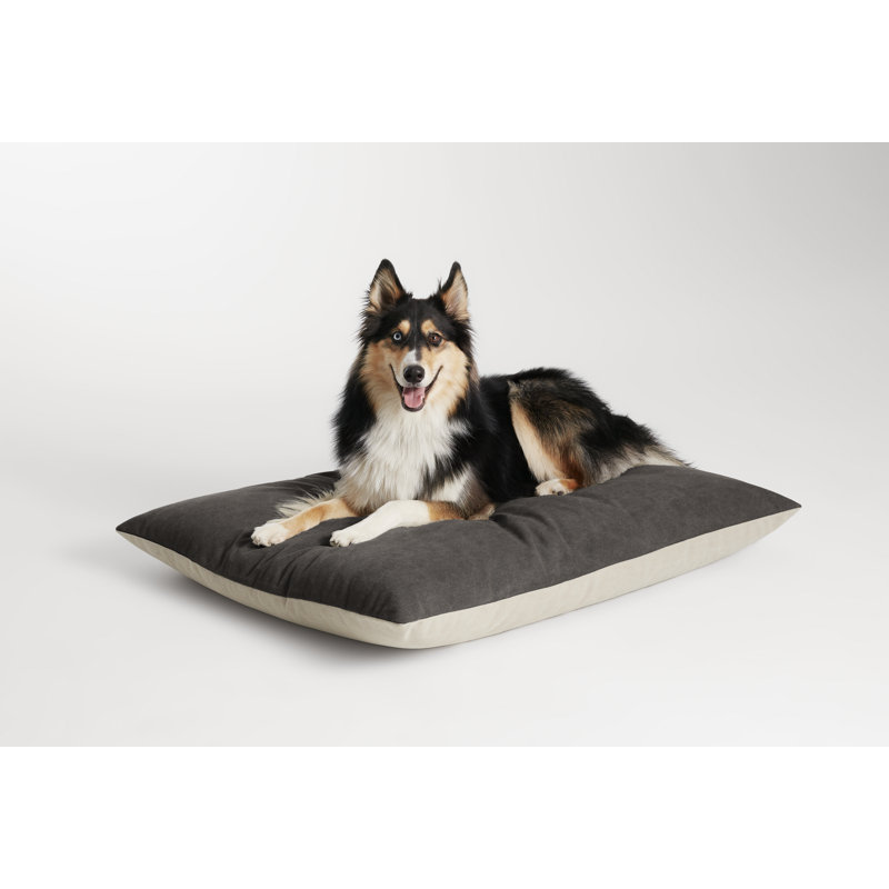 Signal Polyester Dog Pillow/Classic, 28" H x 35" W, Copper Velvet