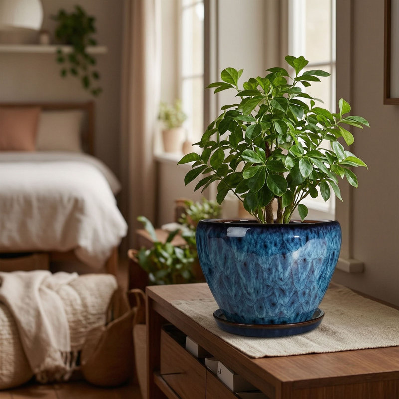 Pot à fleurs en céramique avec trou de drainage et soucoupe