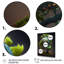 Bonsai Swirl Tree Neon V - reproduction sur toile-86829367-86829372