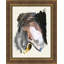 Many Faces 9 Print by Thom Filicia