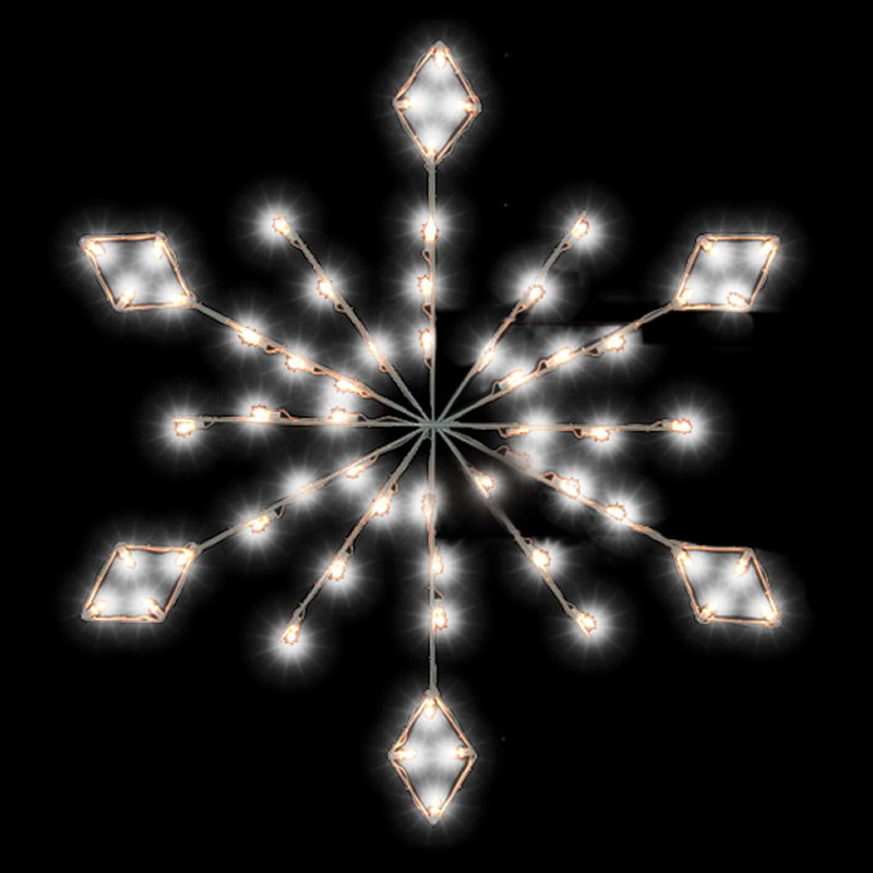 LED Holiday Lighting