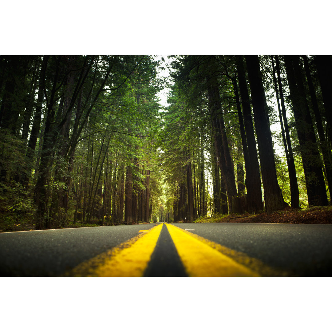 Road Through The Huge Redwood Trees von Pgiam - Kunstdrucke ohne Rahmen auf Leinwand